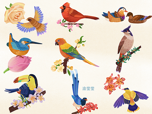 鸟