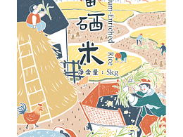 IP设计和包装