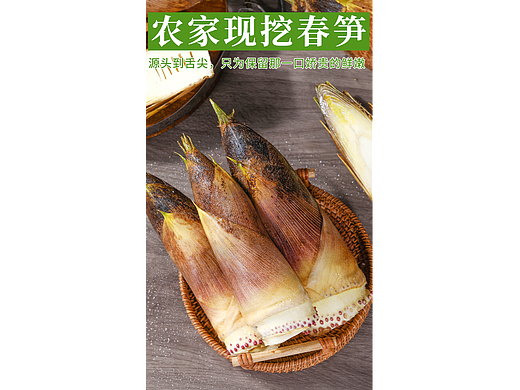 毛笋详情页 毛竹笋 笋子详情页 竹笋详情页