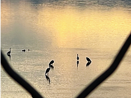 2023我的相機時刻