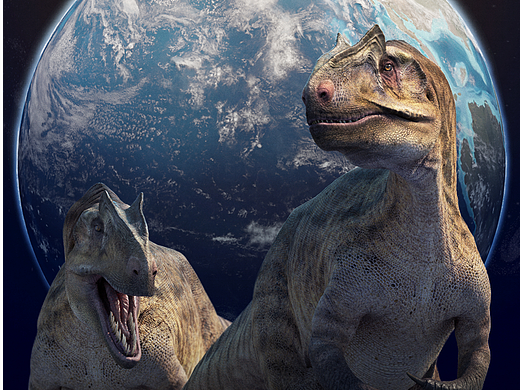 CG写实生物 系列六