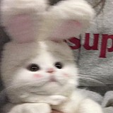 Hana_花花的头像