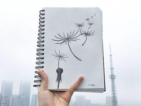 我的绘画本