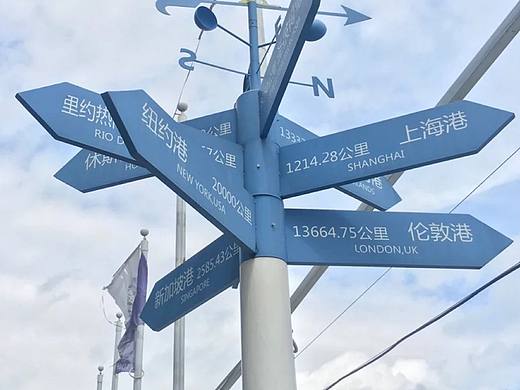 多种 选择 人生