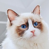 云旗产品摄影的头像