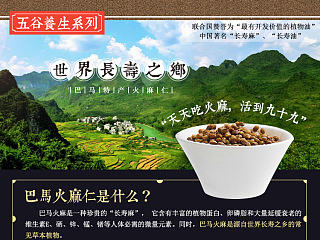 详情页设计/中国风描述页/美食特产/广西特产/巴马/长寿/杂粮/火麻仁