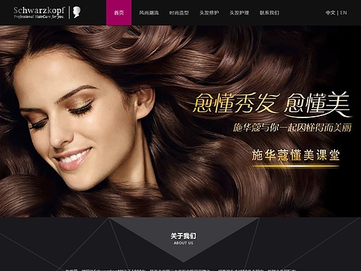 施华蔻网页-其他网页180066年前汽车养护海报的设计平面-海报5700296