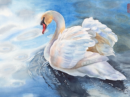 水彩白天鹅