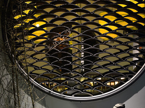 管伟设计/西江月/