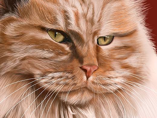 写实手绘故宫的猫-大黄