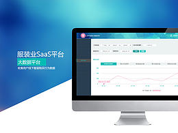 SaaS系统界面
