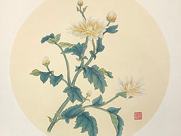 沒(méi)骨花鳥(niǎo)  寫(xiě)生菊花