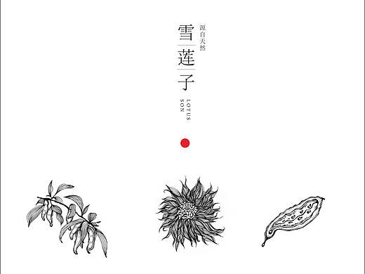 雪莲子——包装设计