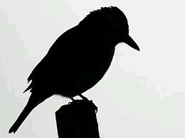 有些人活着，却已经死了。