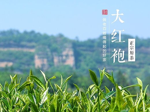 大红袍  详情页   茶叶