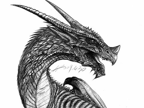 2019上半年的手绘