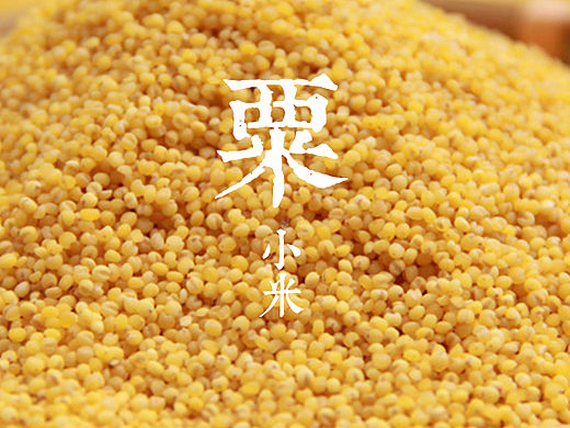 小米包装设计-東德|包装|平面|東德品牌設計