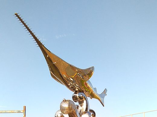 不锈钢-海洋生物