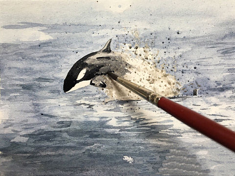 海洋霸主
