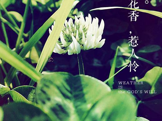手机拍照