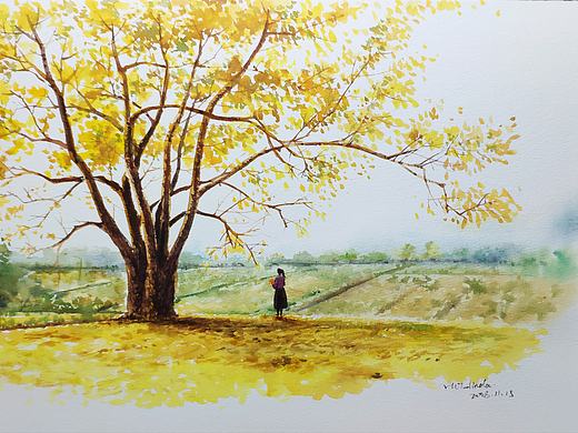 银杏（个人主页-ZMzEzODkyODQ=） - 艺术插画 - 站酷设计师hot_linda原创素材 - 站酷ZCOOL