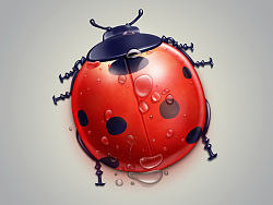 临摹-瓢虫图标(站酷素材-作者木槿_微凉 )