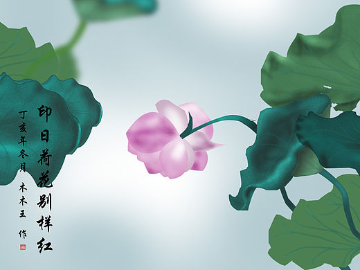 临摹荷花