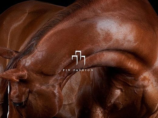 pin fashion 概念设计