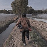 欣纯的头像