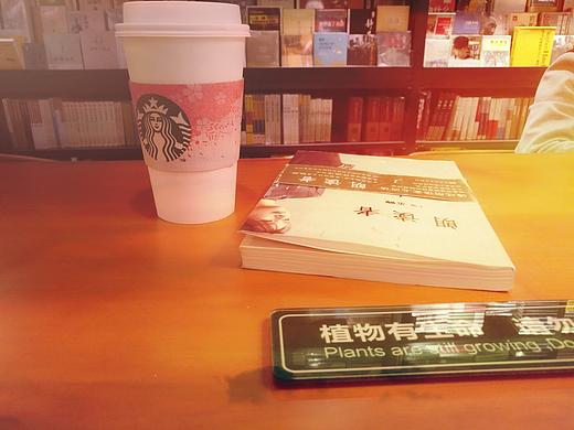 安静的书店