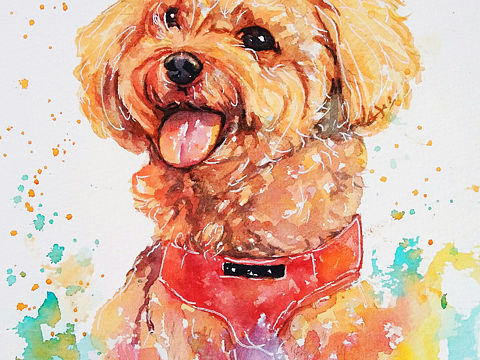 狗狗:dog:水彩画约画