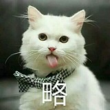 欧皇氪金之光的头像