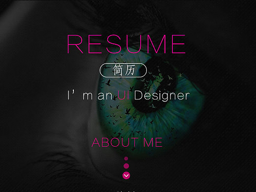 Resume UI - Michael