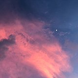 樂只大王的头像