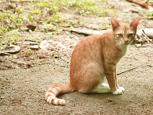 【一更】旅行中的摄影