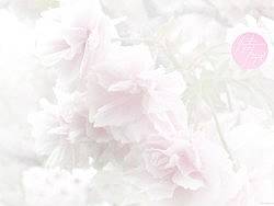 去年情人节、前年情人节、大前年情人节⋯⋯（个人主页-ZMTE2NjMyOA==） - 海报 - 站酷设计师fantom原创素材 - 站酷ZCOOL