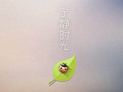宁静时光