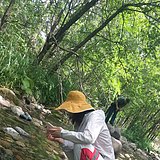 IceGina的头像