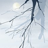 溟水的头像