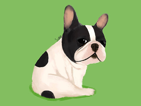 彩底法斗兄弟团