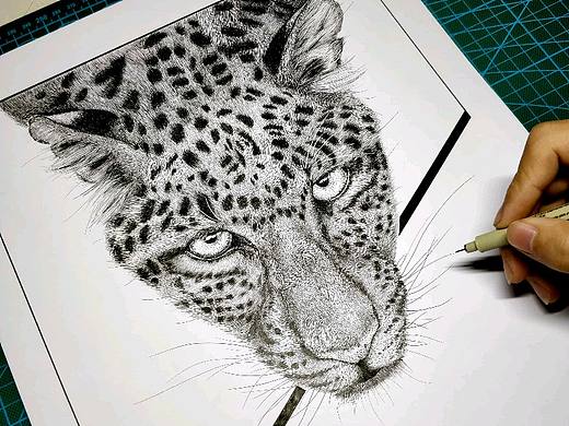黑白插画