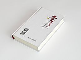 政府画册