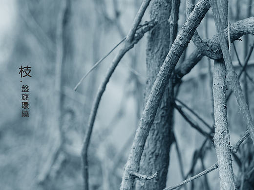 那一次的旅行——北京（个人主页-ZMTc1NzUzODQ=） - 其他摄影 - 站酷设计师JOJOF原创素材 - 站酷ZCOOL