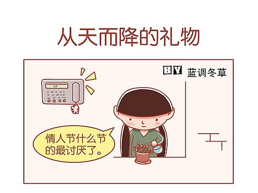 从天而降的礼物