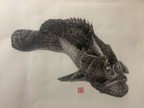 素描石斑步骤图