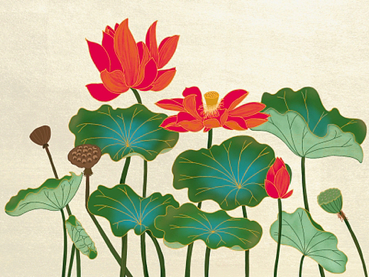 工笔画出水芙蓉