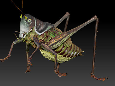 数雕蝈蝈（个人主页-ZNTcxMjM0Njg=） - 人物/生物 - 站酷设计师通辽李永春绘画原创素材 - 站酷ZCOOL