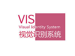 VI 体系