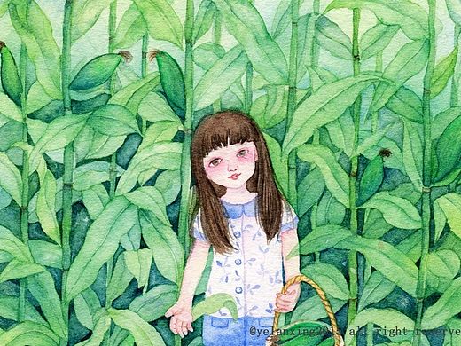 玉米田地
