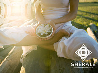 喜来乐旅游投资集团标识设计提案（个人主页-ZNDk1ODA1Ng==） - Logo - 站酷设计师王同超原创素材 - 站酷ZCOOL